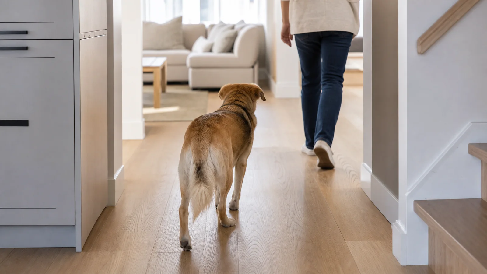 Cachorro acompanhando o tutor dentro de casa